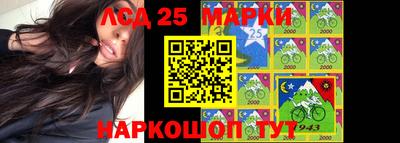 кокс Можга