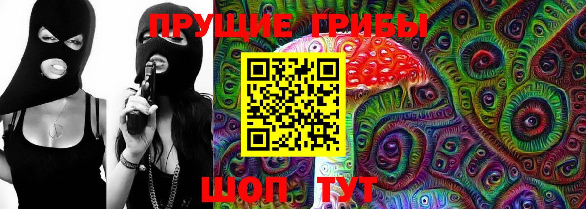 Усть-Джегута  Галлюциногенные грибы Psilocybe  купить наркоту  Псилоцибиновые грибы мухоморы  Вход с VPN 