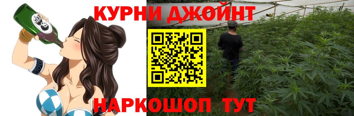 Усть-Джегута  Каннабис сатива  Бошки Шишки тримм  Шишки марихуана AK-47  Вход с VPN 